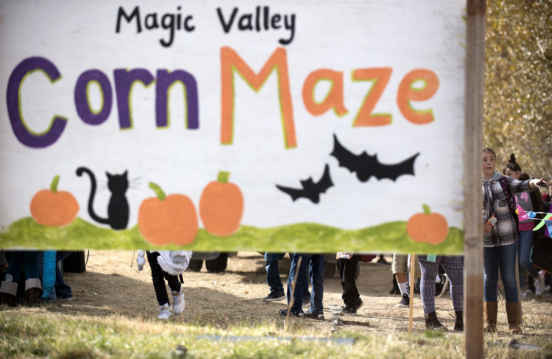 Magic Valley Corn Maze